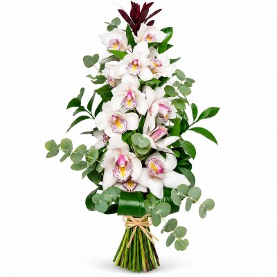 Orchideenkönigin