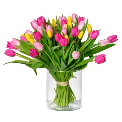 35 Tulips in a vase