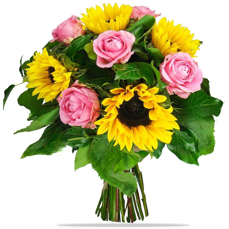 Sunflowers and Pink Roses